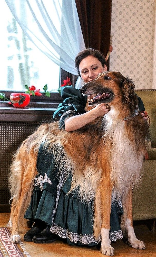 Kuskaya’s Mischenka