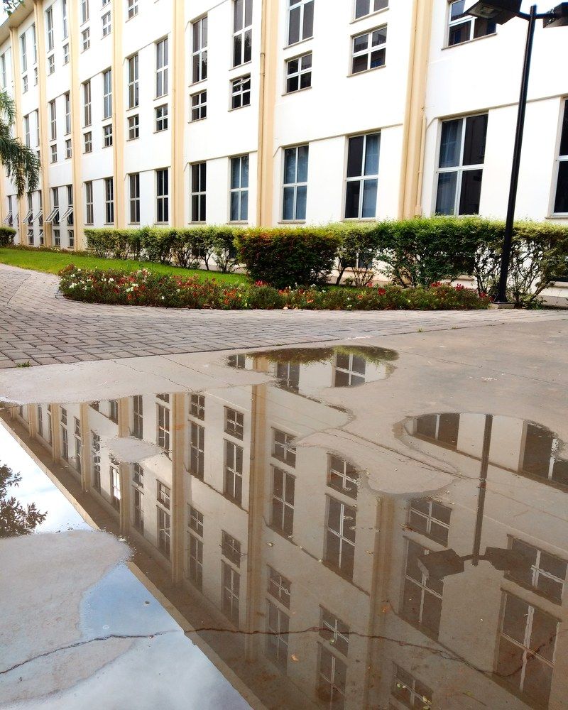 Universidade