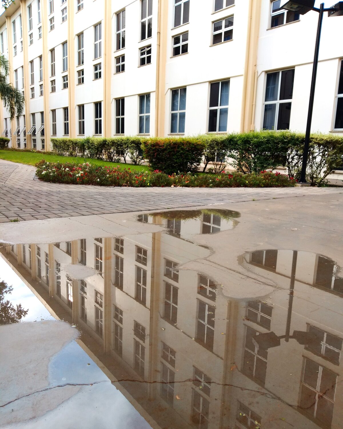 Universidade