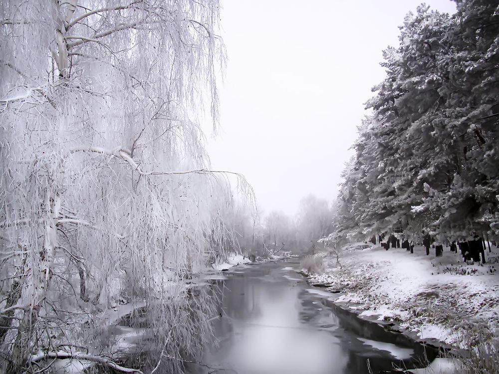 Зимняя сказка.