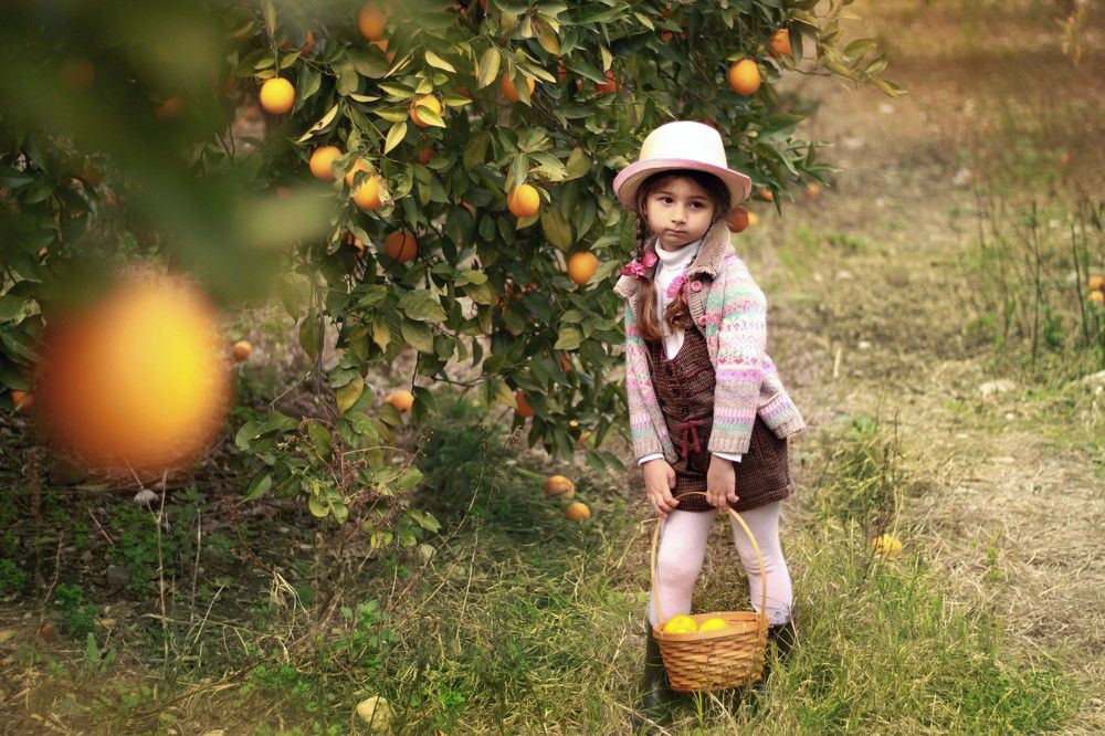 Апельсиновая воришка.