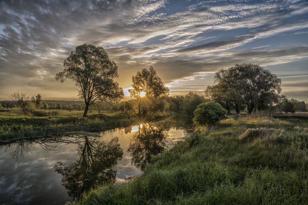 Утро на речке...