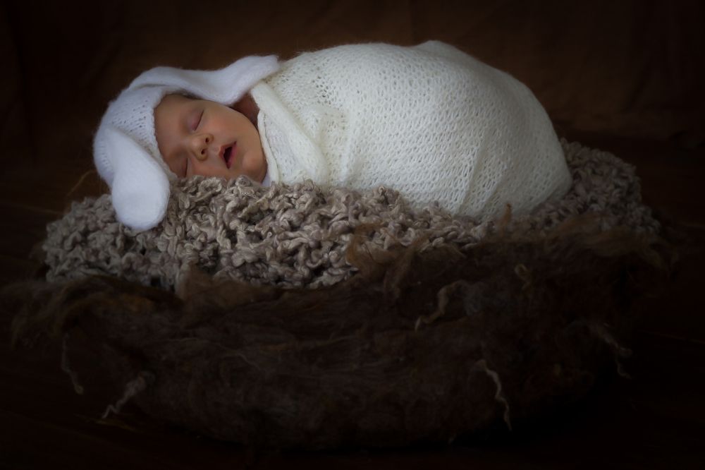 сладкий сон зайки