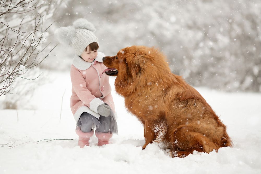 Дашка и Мишка