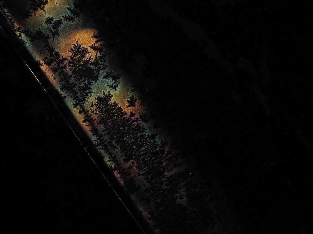 В лунном сиянии