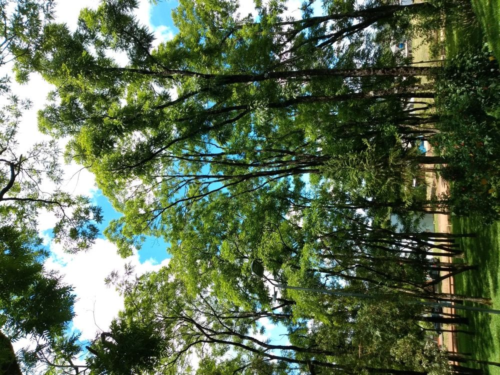 Sky