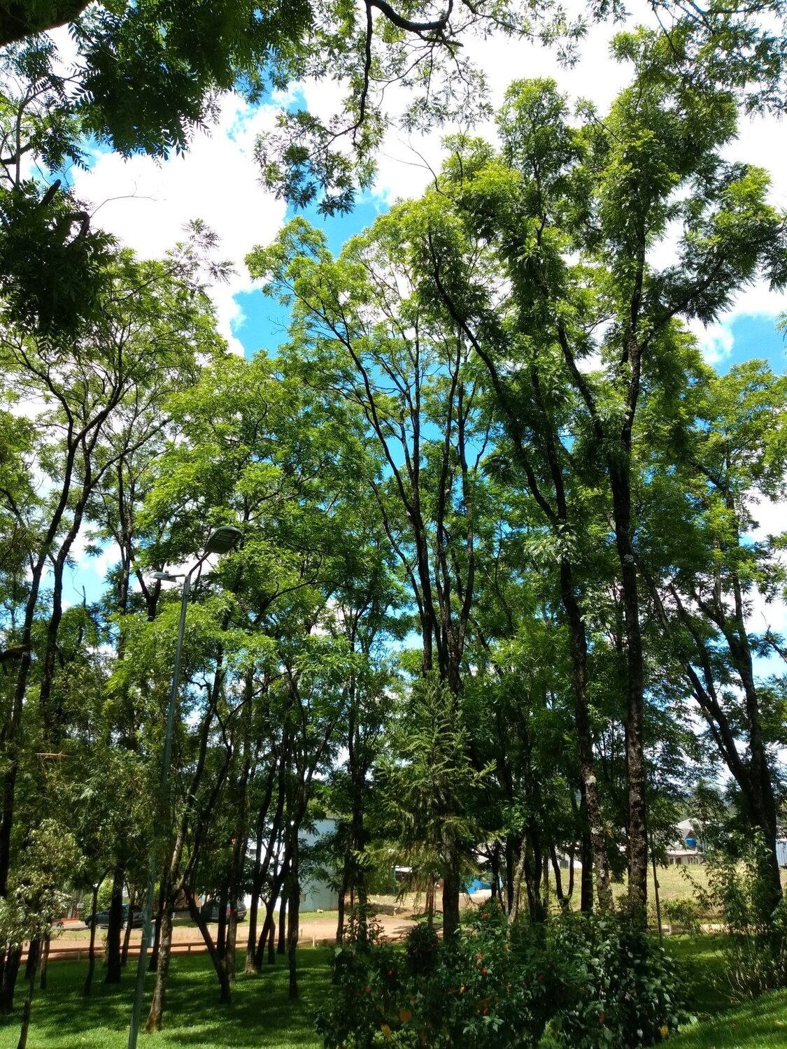 Sky