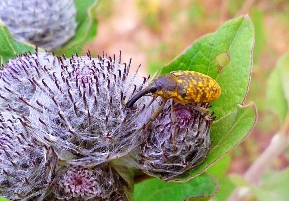 Фотография автора Владислава Андрюнина