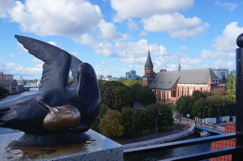 Калининград . Вид  с  маяка .