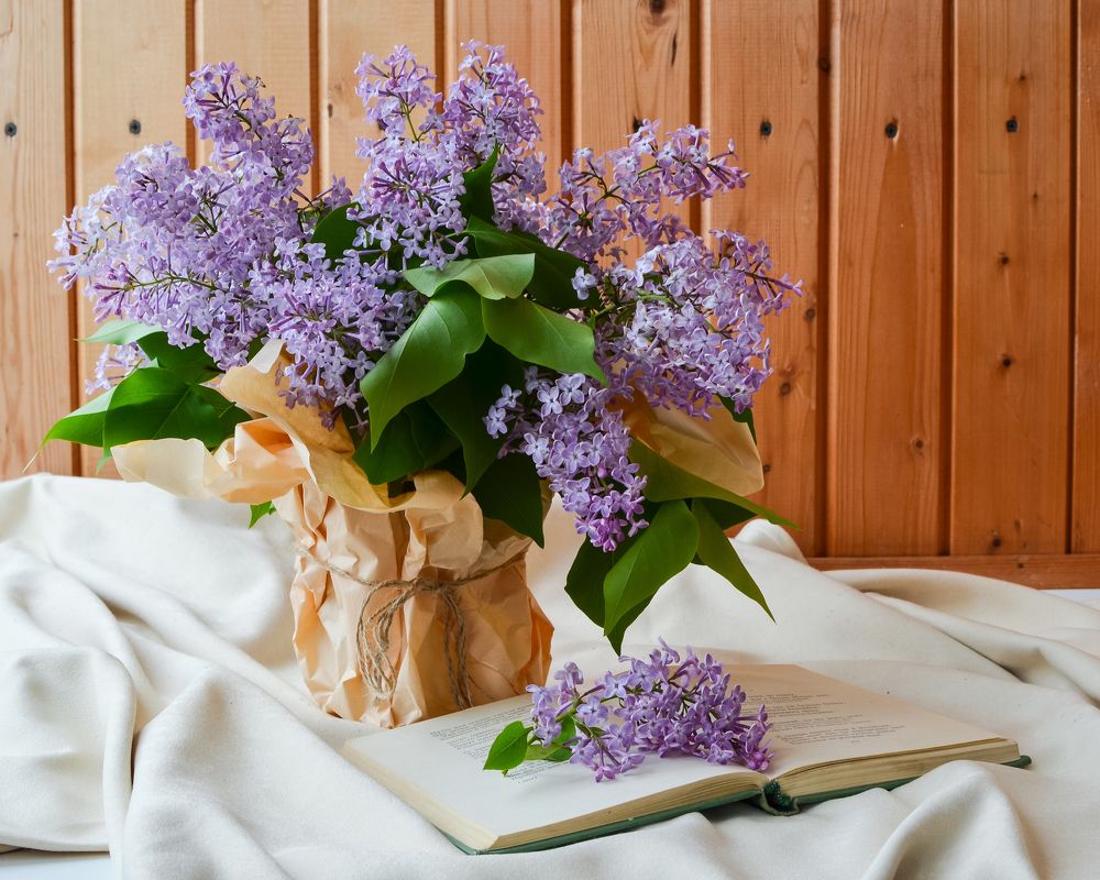 Сиреневое настроение