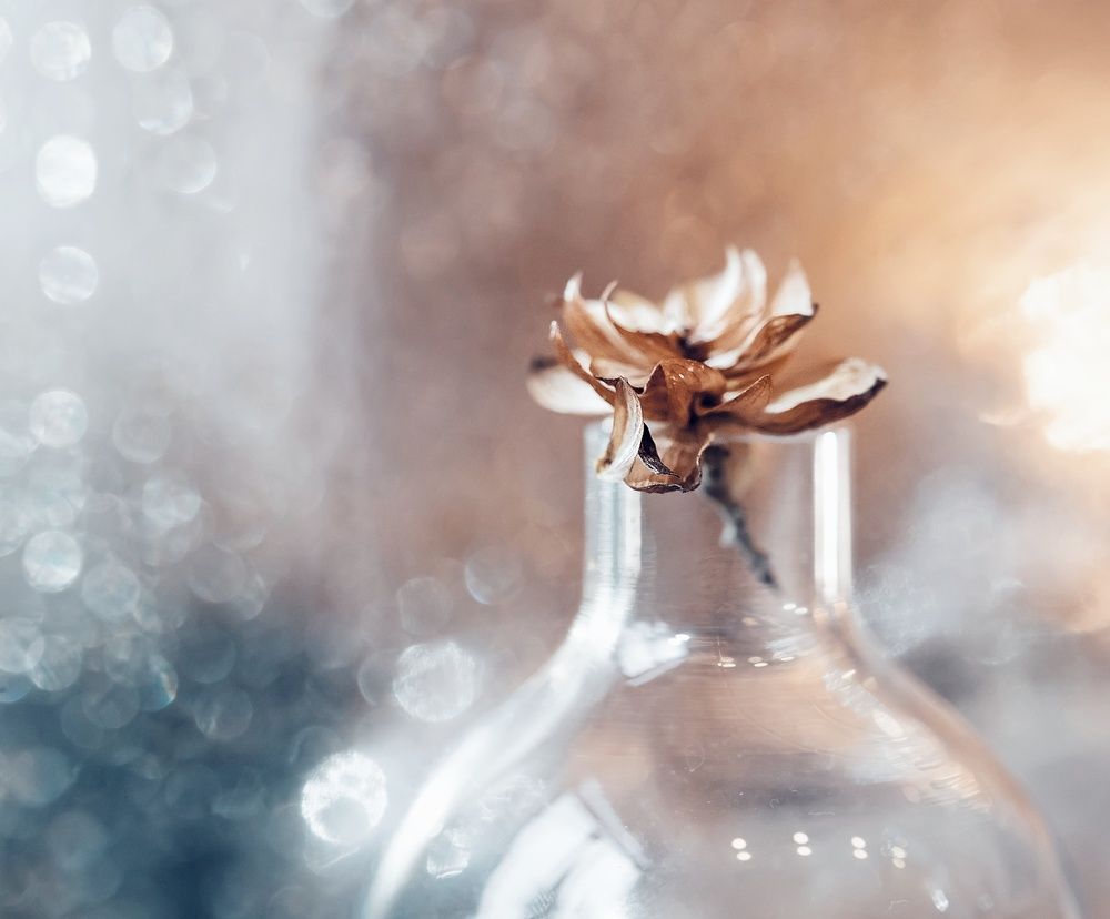 Игра в боке