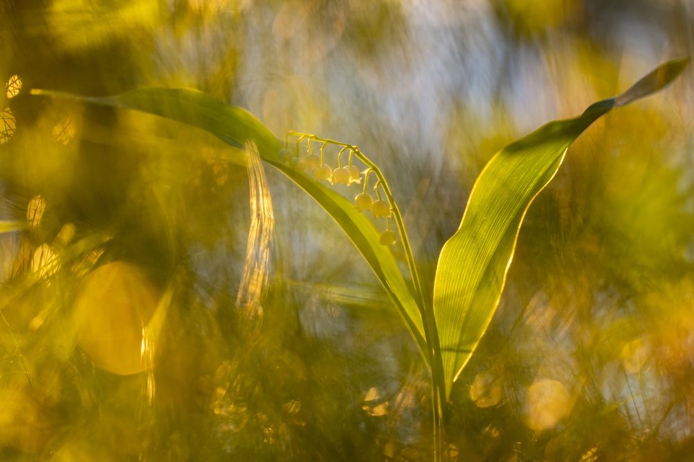 Photograph by Александр Иванов