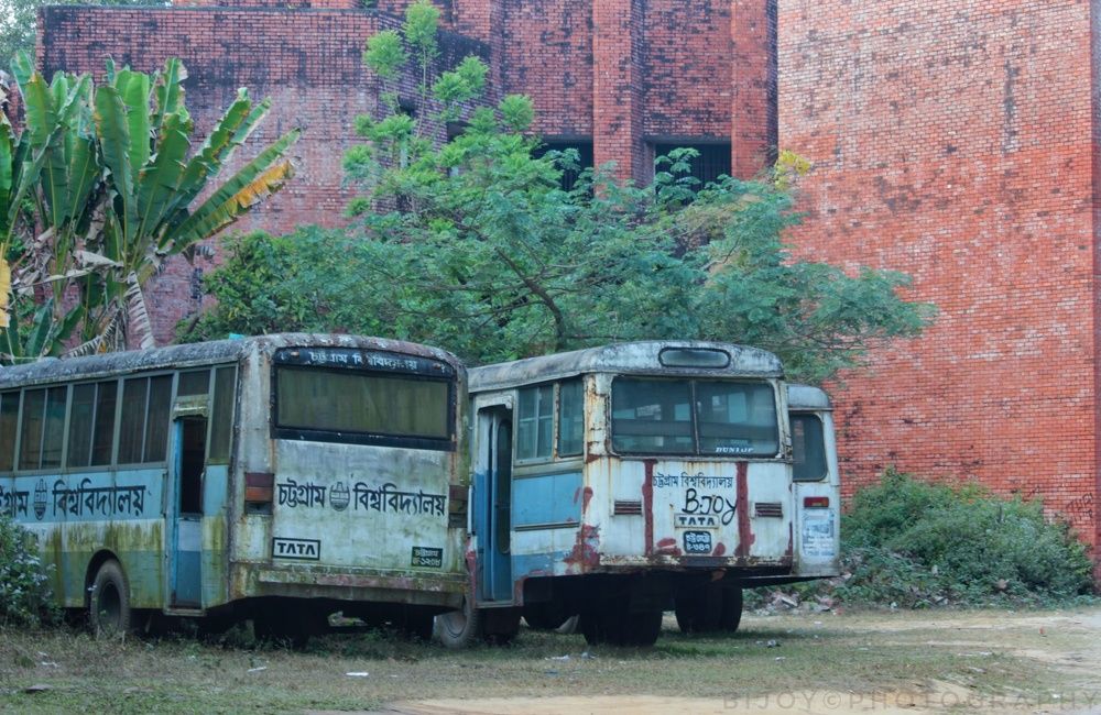 The Old University Buses