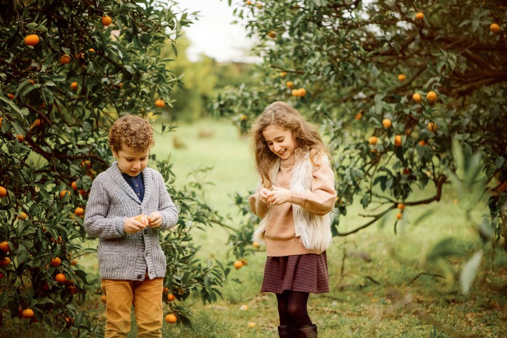 Мандариновый сад