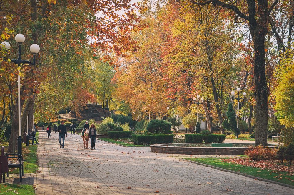 Краски осени Городского парка