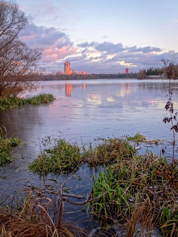 Сиреневый закат в городе