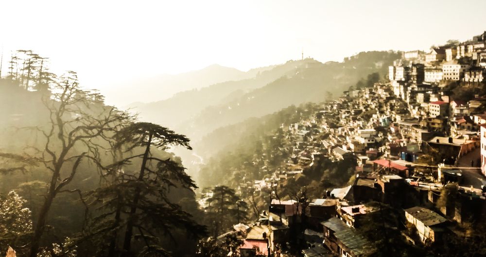Shimla