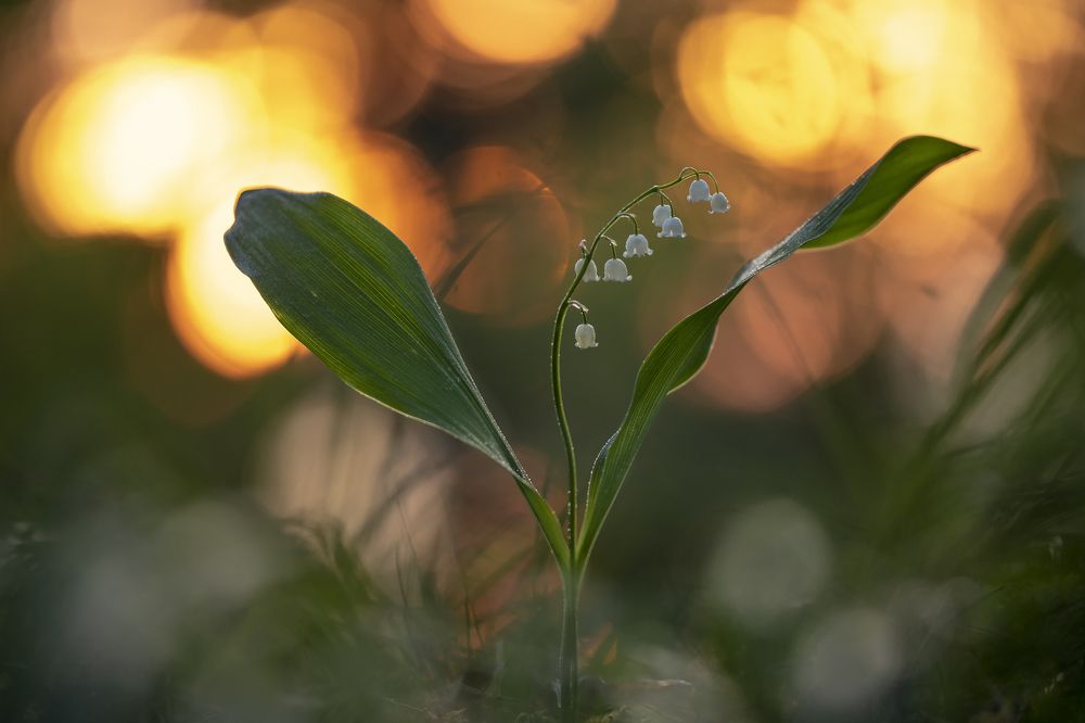 Photograph by Александр Иванов