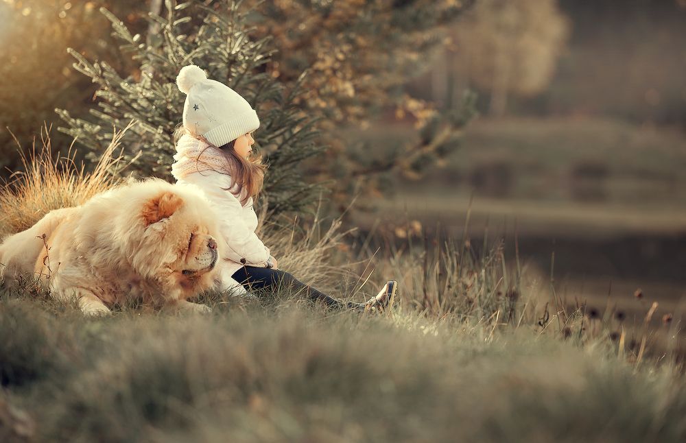 волшебный мир детства