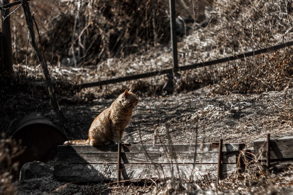 Photograph by Павел Милкин