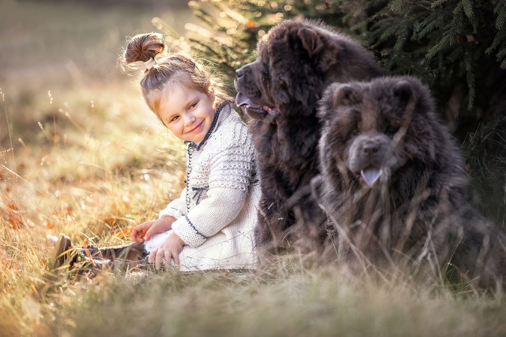 волшебный мир детства