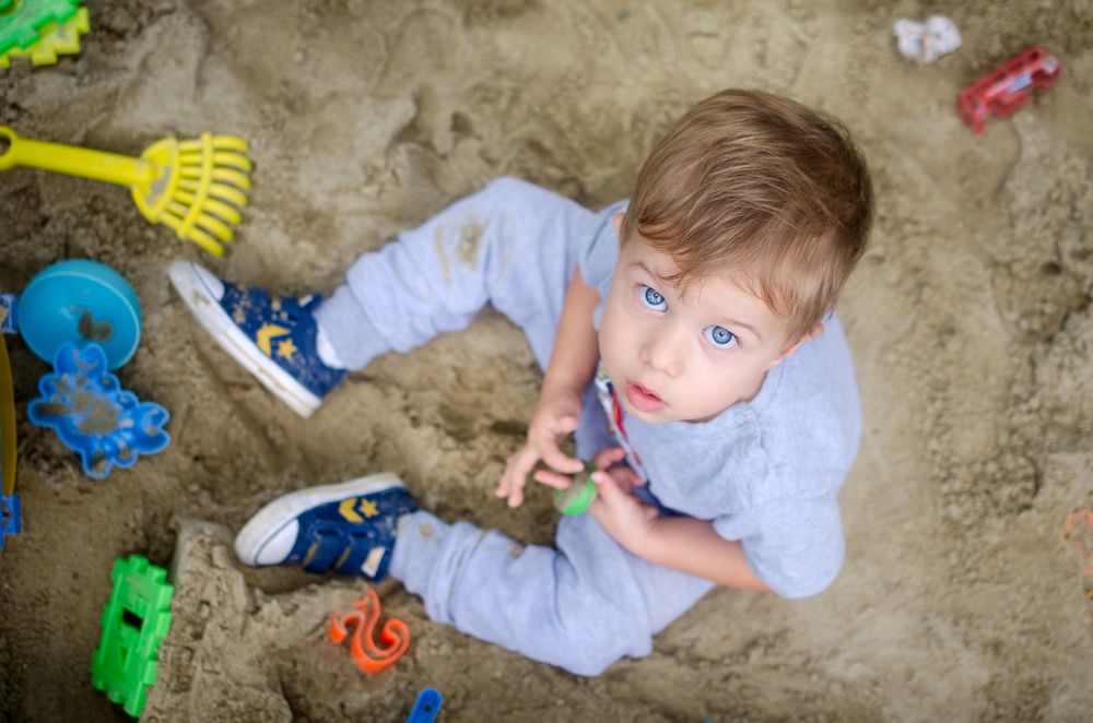 Understanding the world