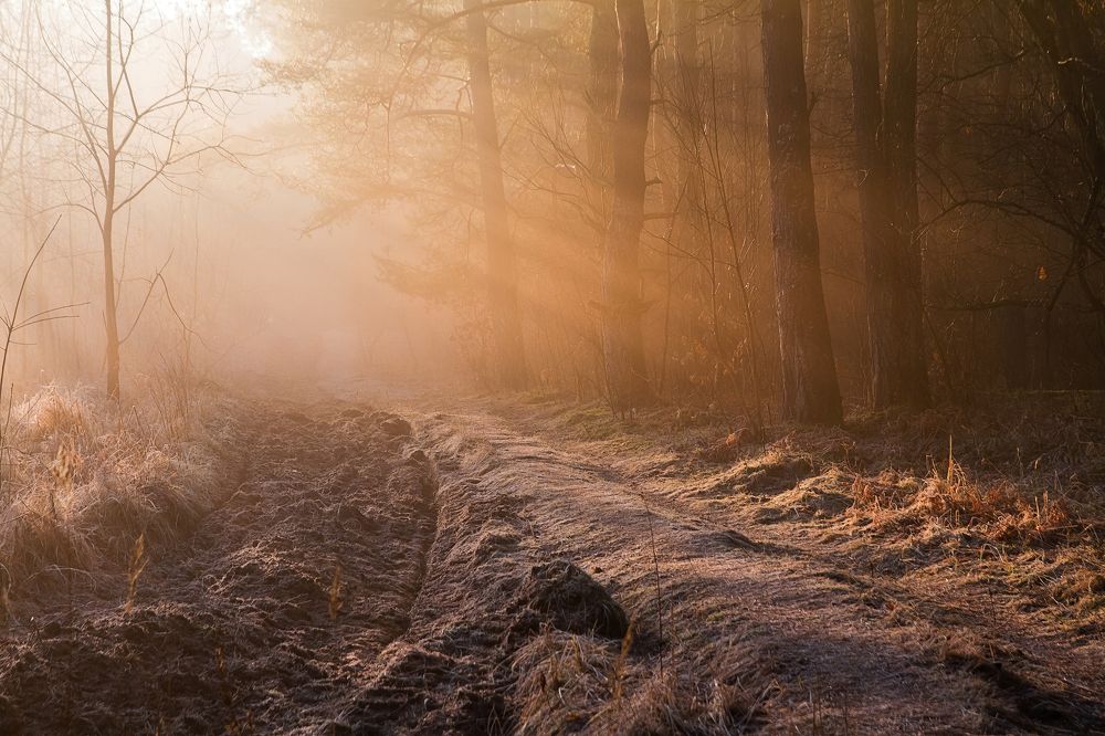 Укутываясь лучами солнца