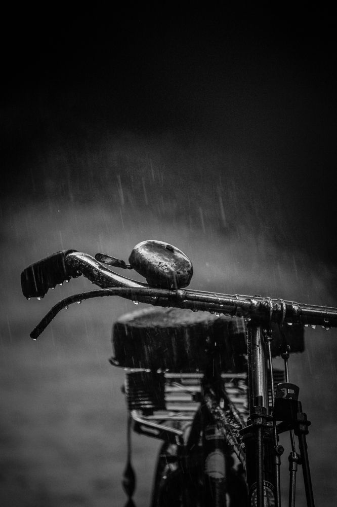 Waiting for the ride