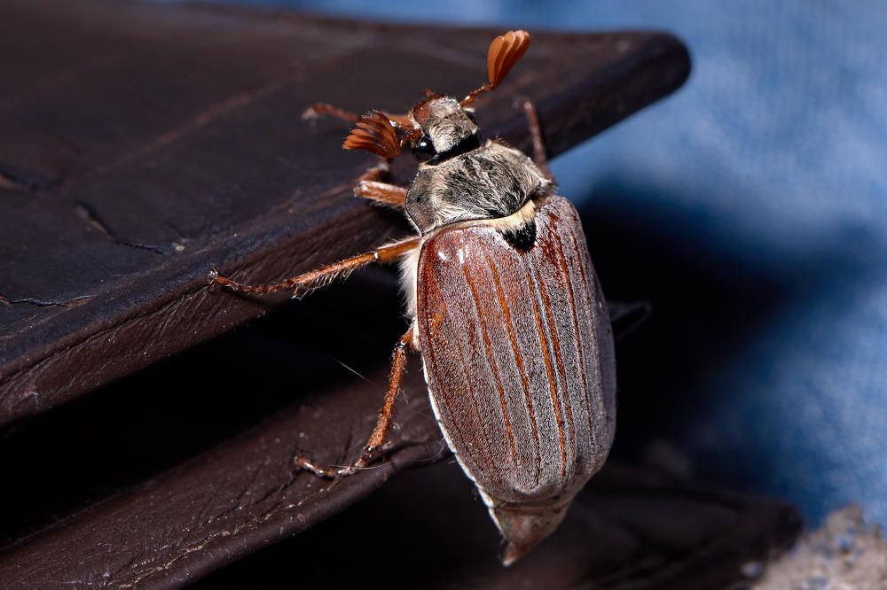 Photograph by Беспалов Александр