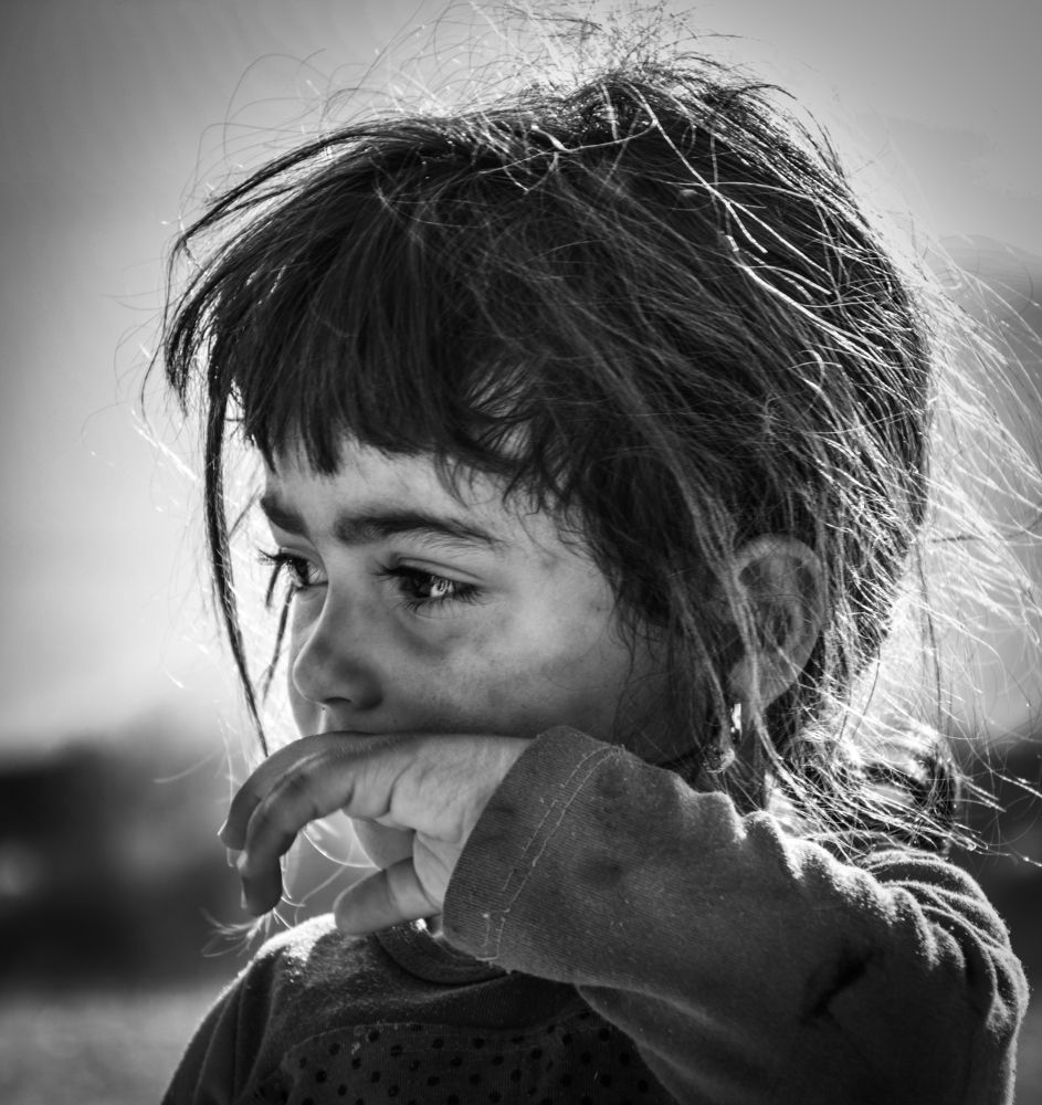 Photograph by nemati yalda