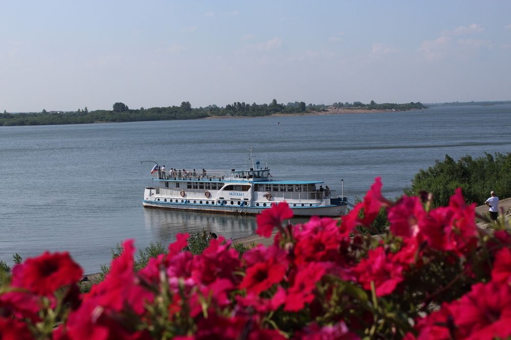 Летний день