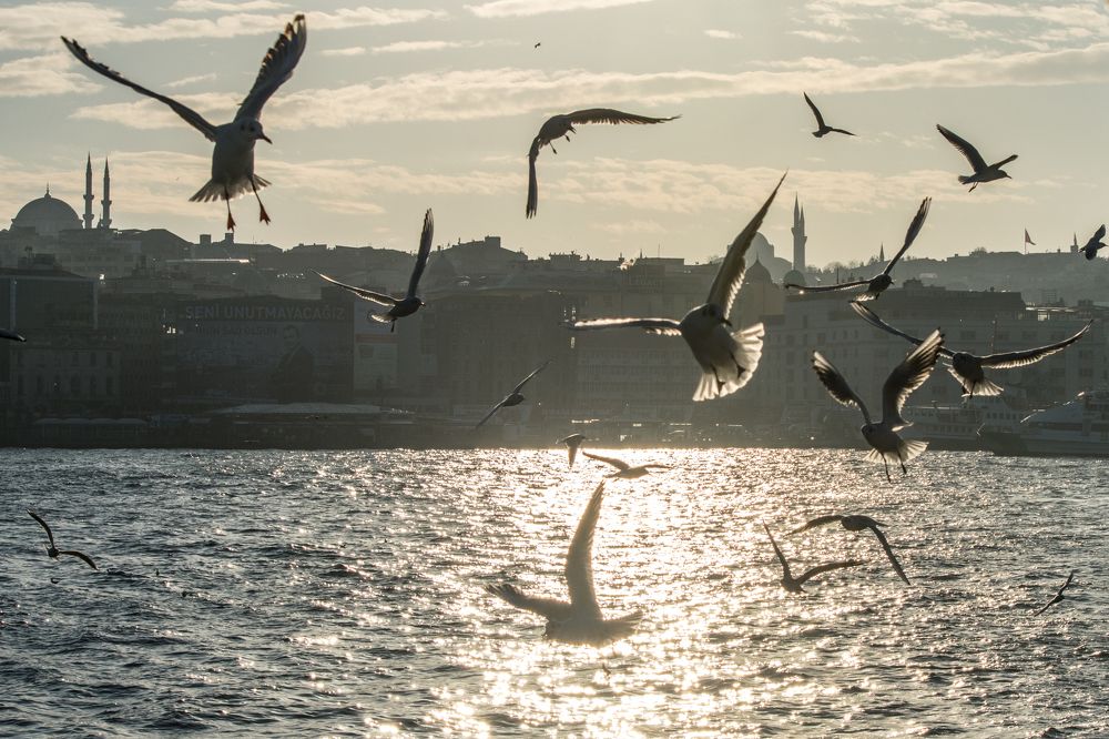 Жители города