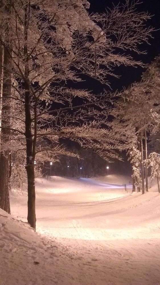 Snowy night
