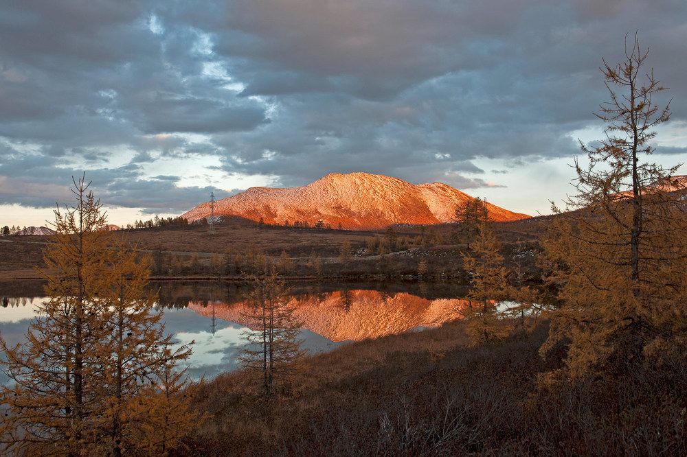 И приснилась мне...