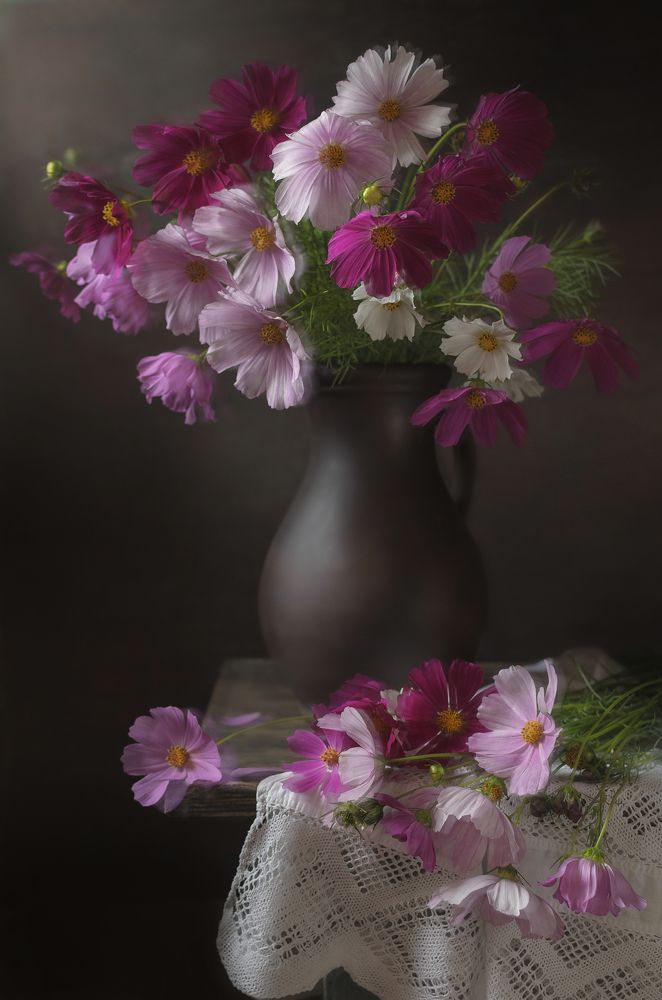 И снова прекрасная космея