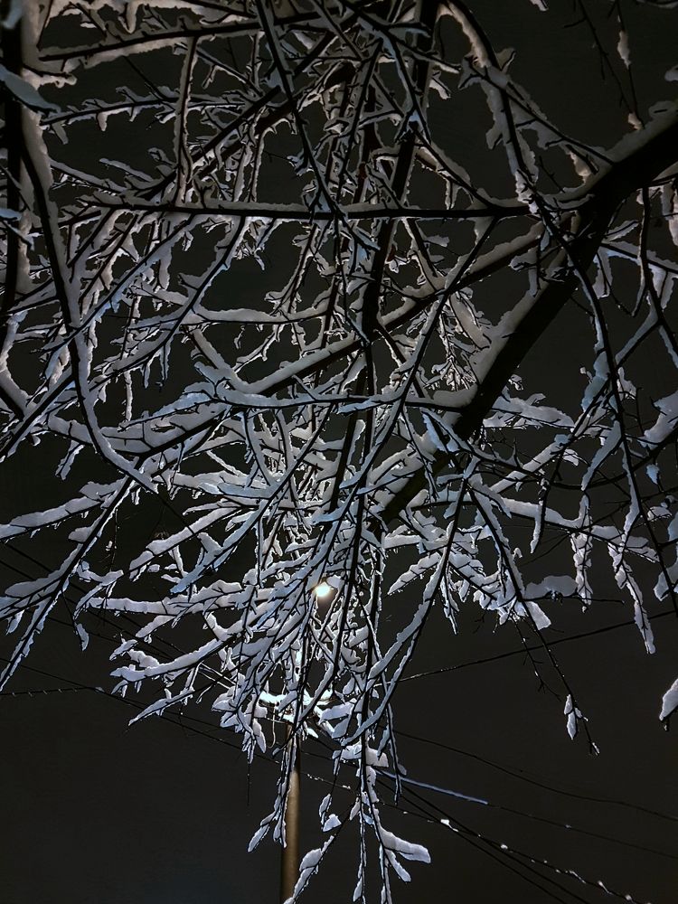 Winter in Moscow