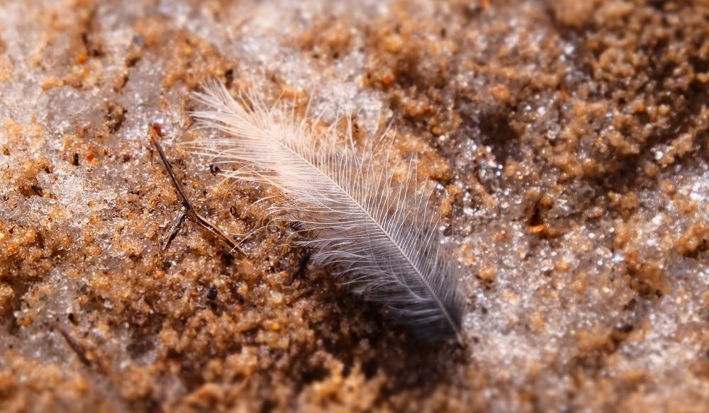 Photograph by Анна Панкратова