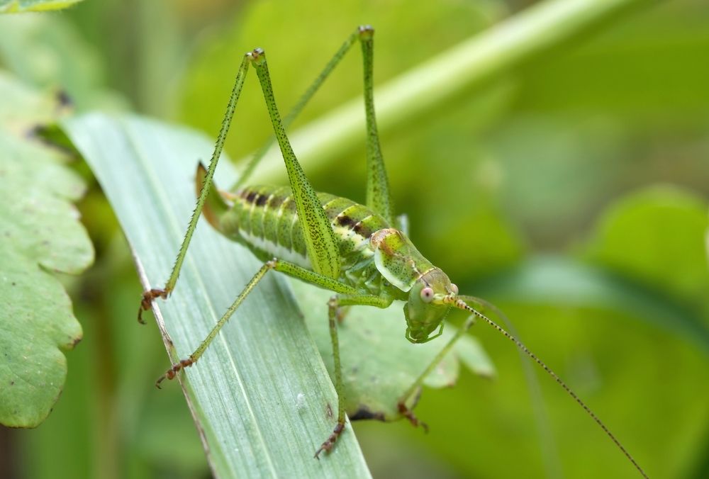 Photograph by Сергей Тригуб