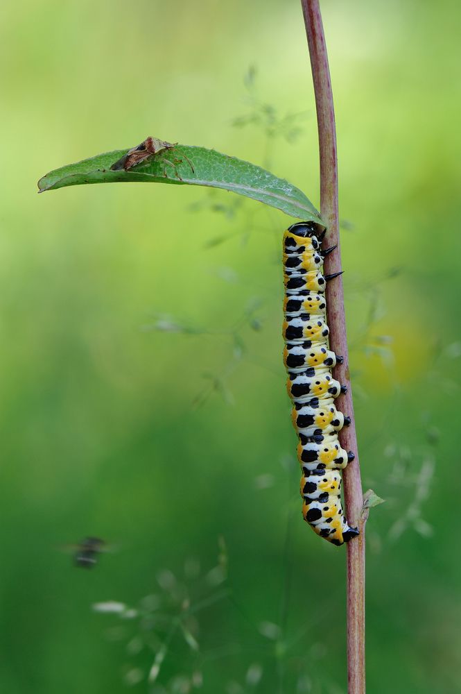 День начинается.
