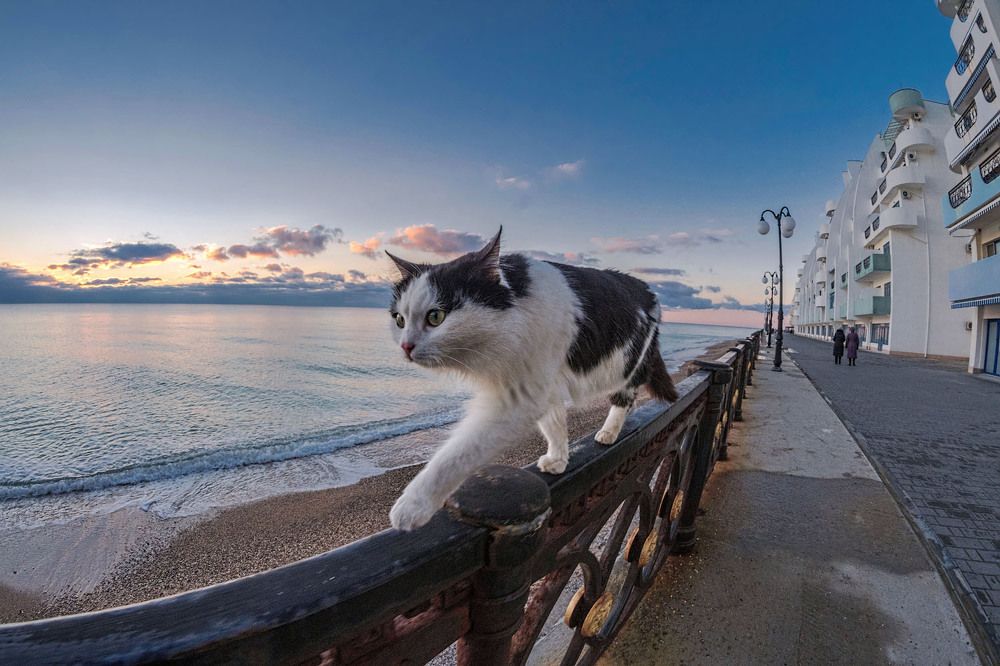 Вечерний обход