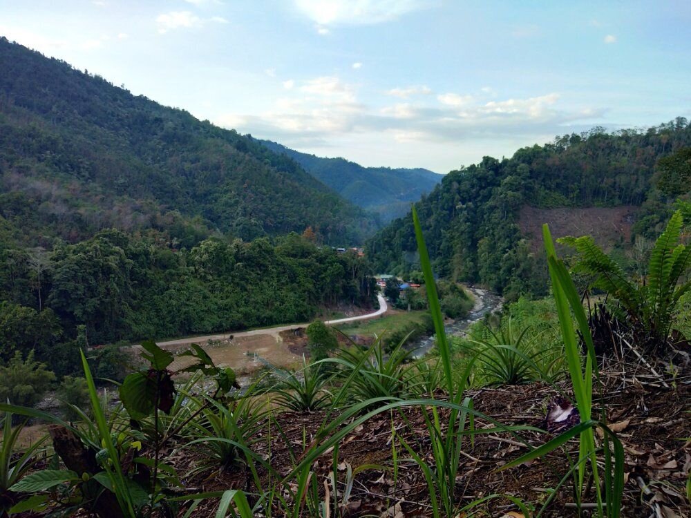 A clear cloudy day at my village