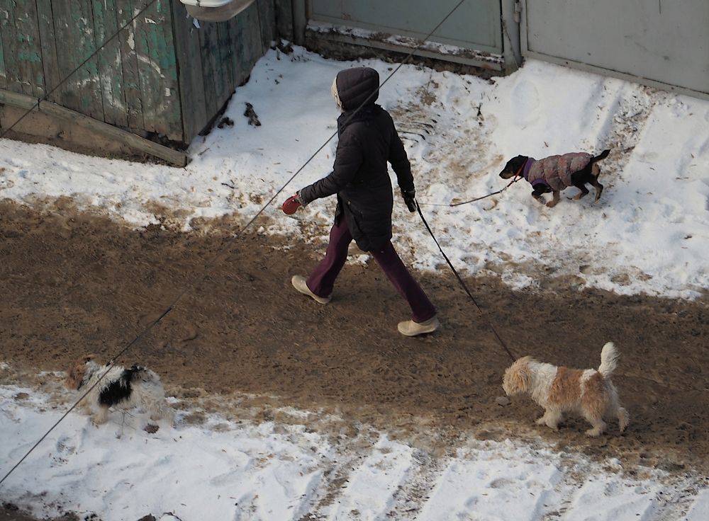 Photograph by Алексей Крылатых