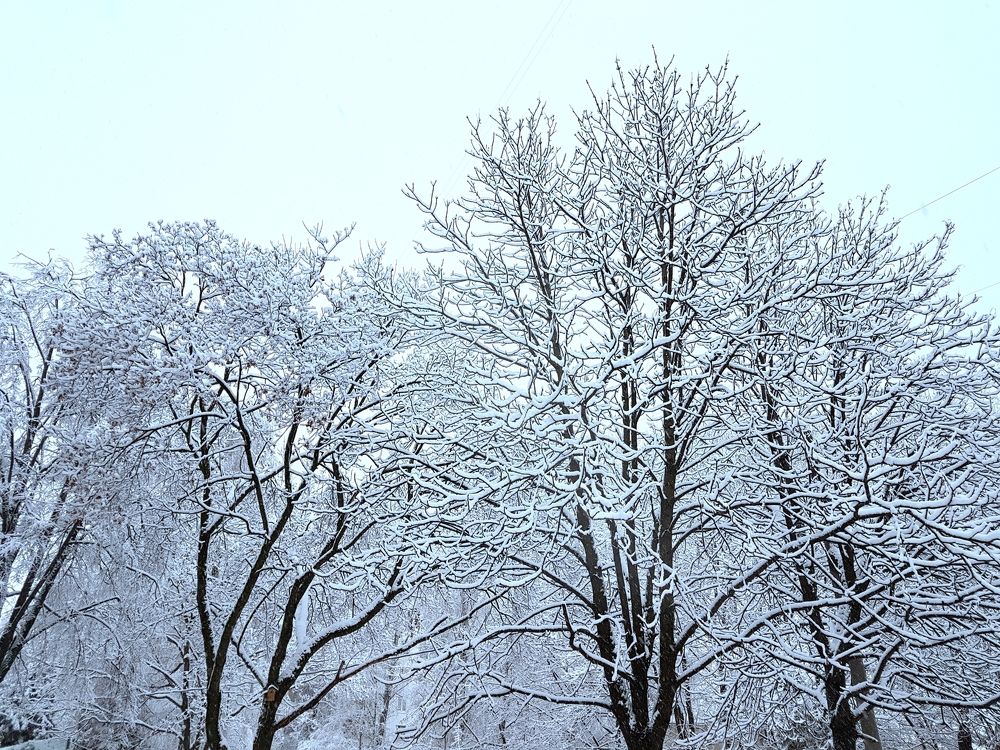 Winter in Moscow