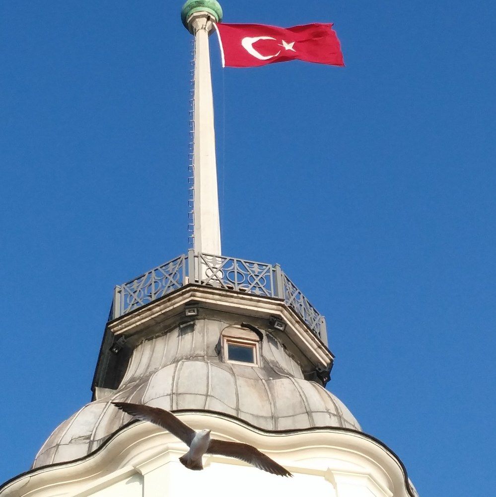 The Gull and The Maiden's Tower