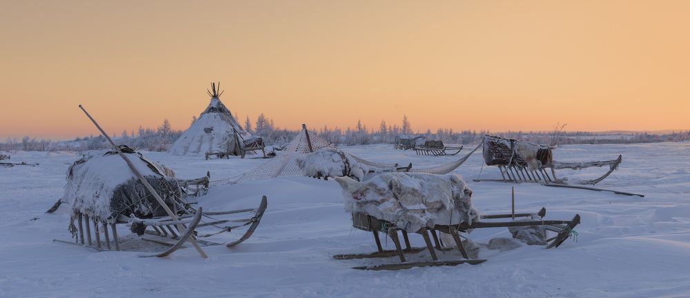 В стойбище оленеводов
