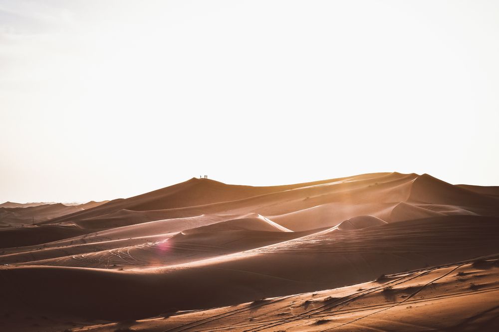 Everything the light touches