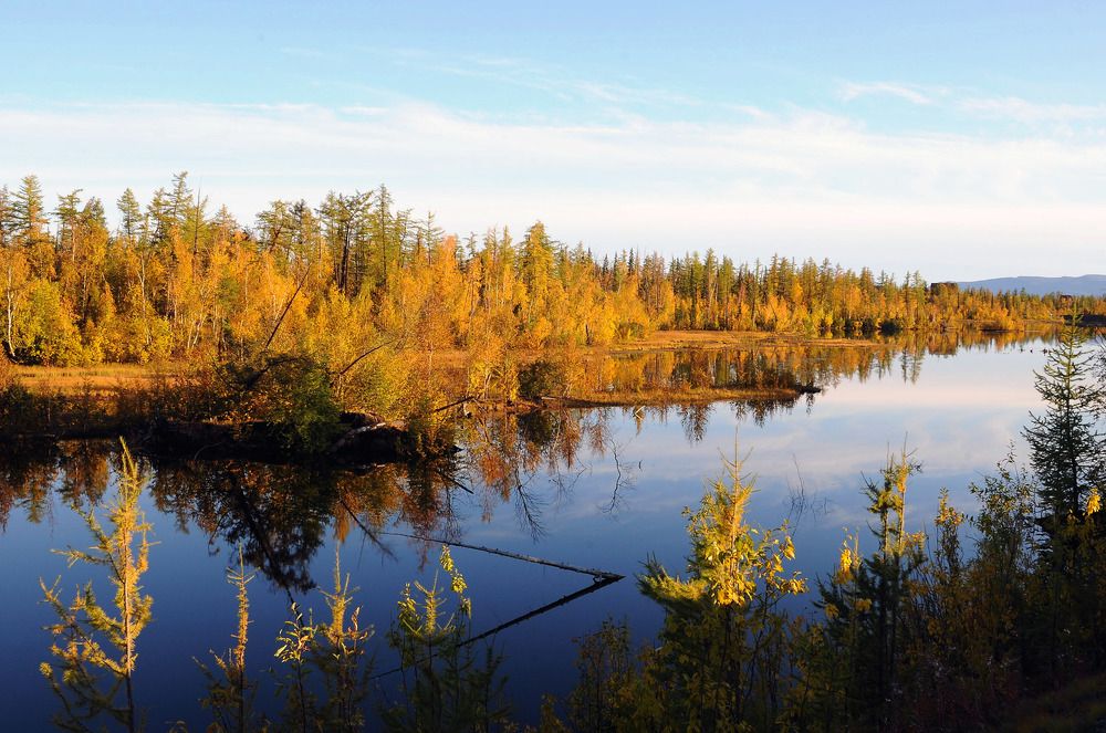 Осеннее настроение