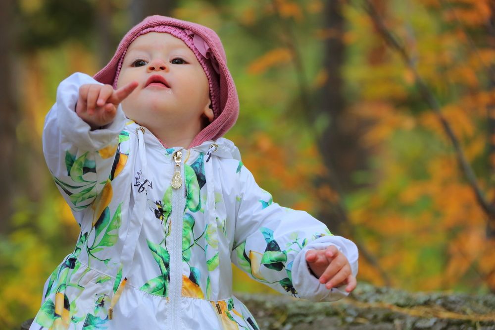 Осенний дирижёр