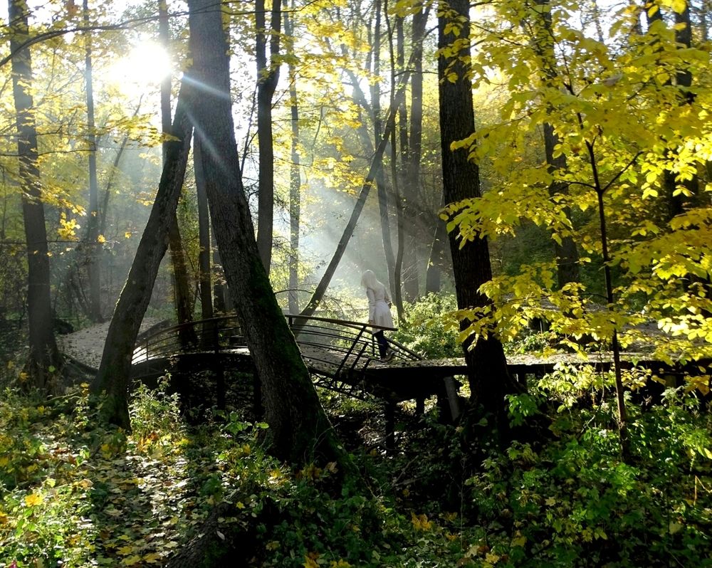 Мистический парк