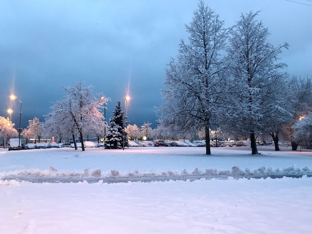 За ночь двор преобразился